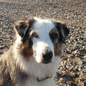 Meet your Posher, Lee